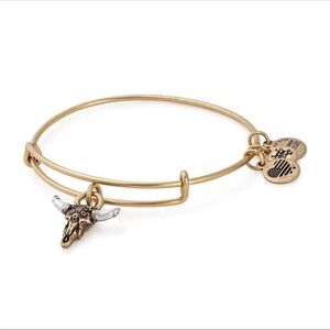 Alex and Ani Bracelet || Spirited Skull